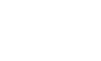 angi logo